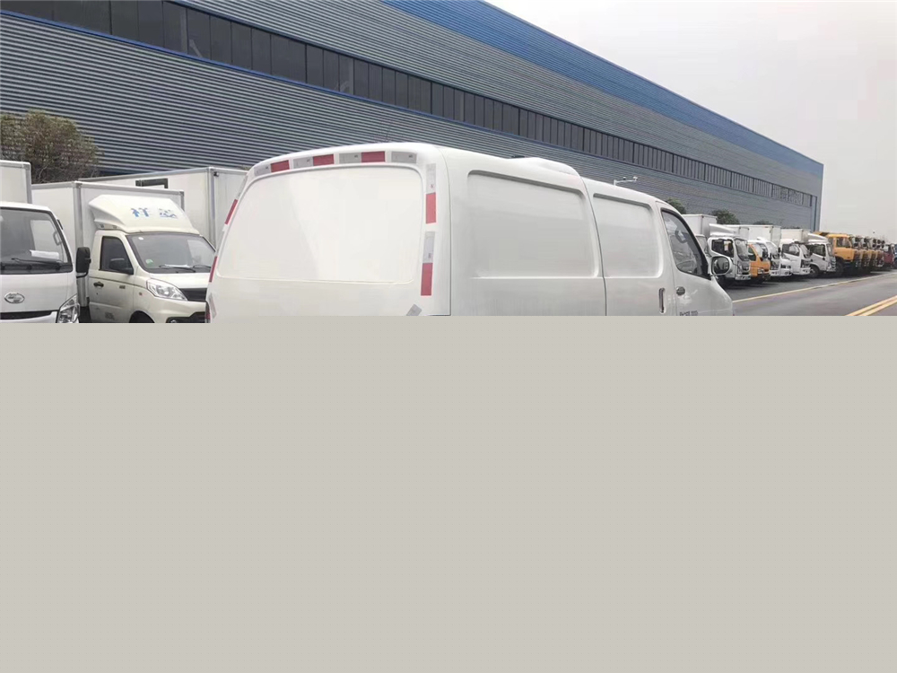 國六·金杯新快運 面包冷藏車